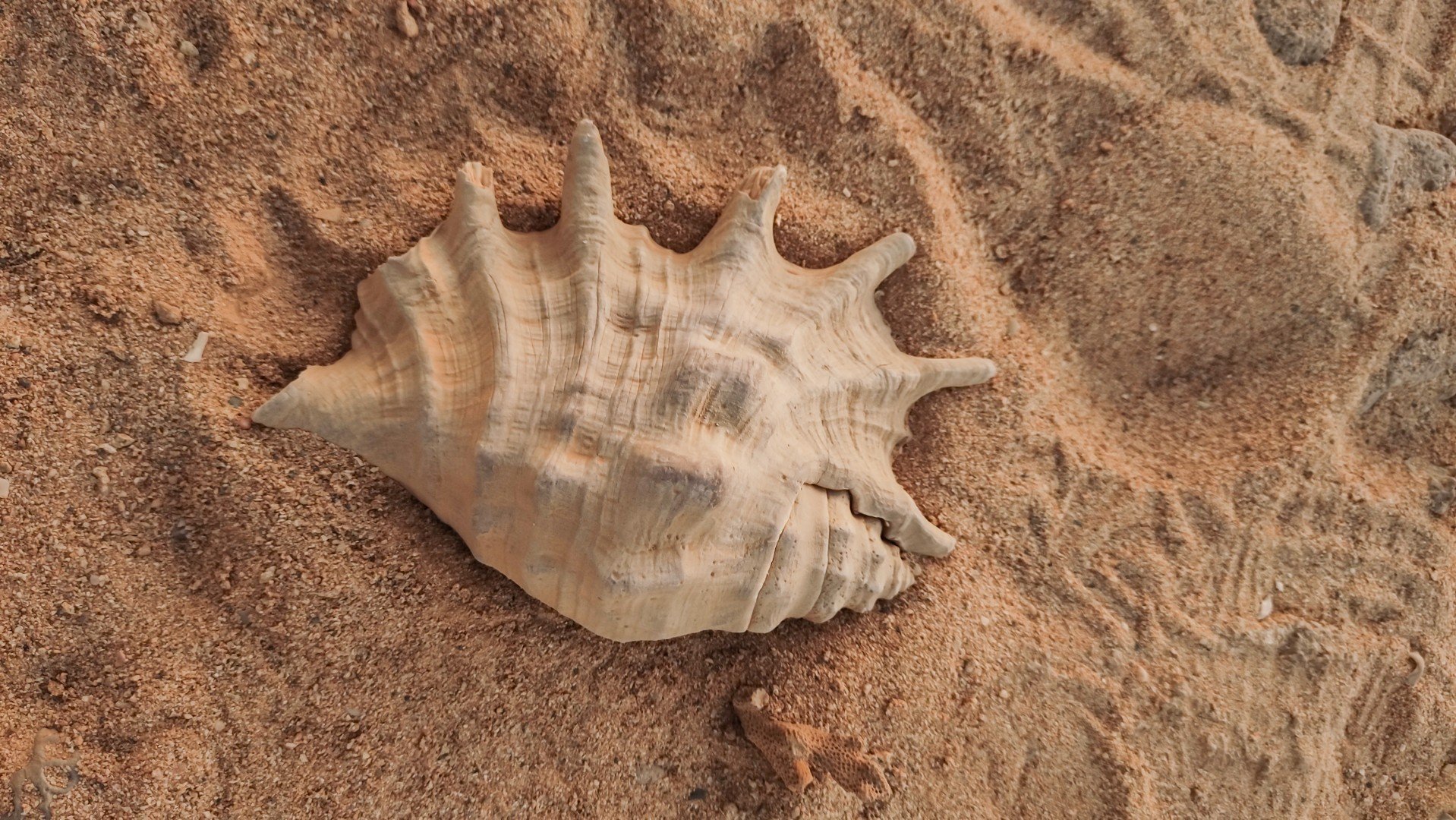 Plavba po Nilu z Marsa Alam 8