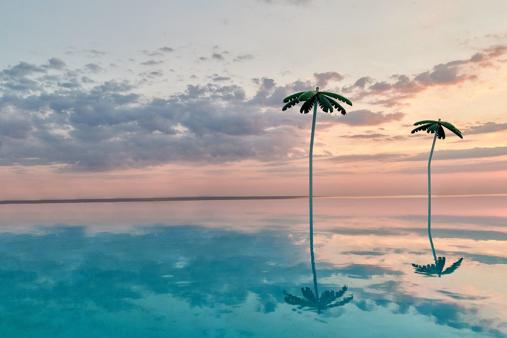 Alexandra Elegance 17