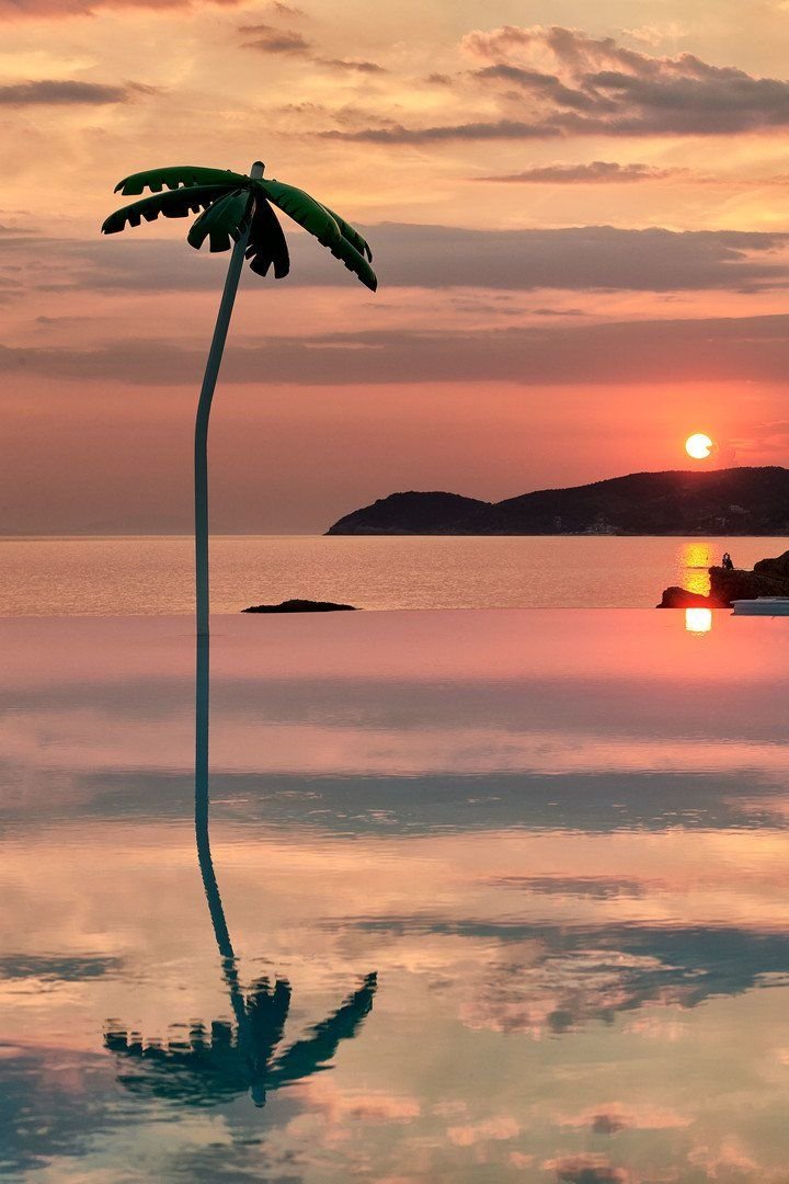 Alexandra Elegance 22