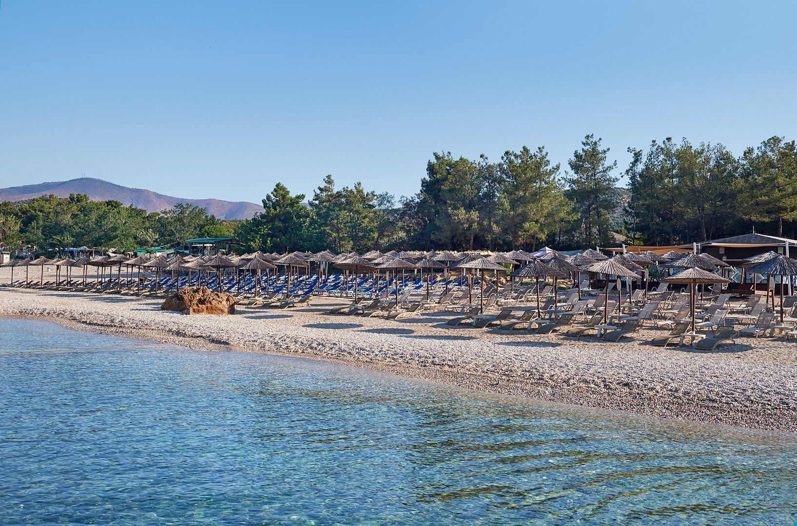 Alexandra Elegance 7