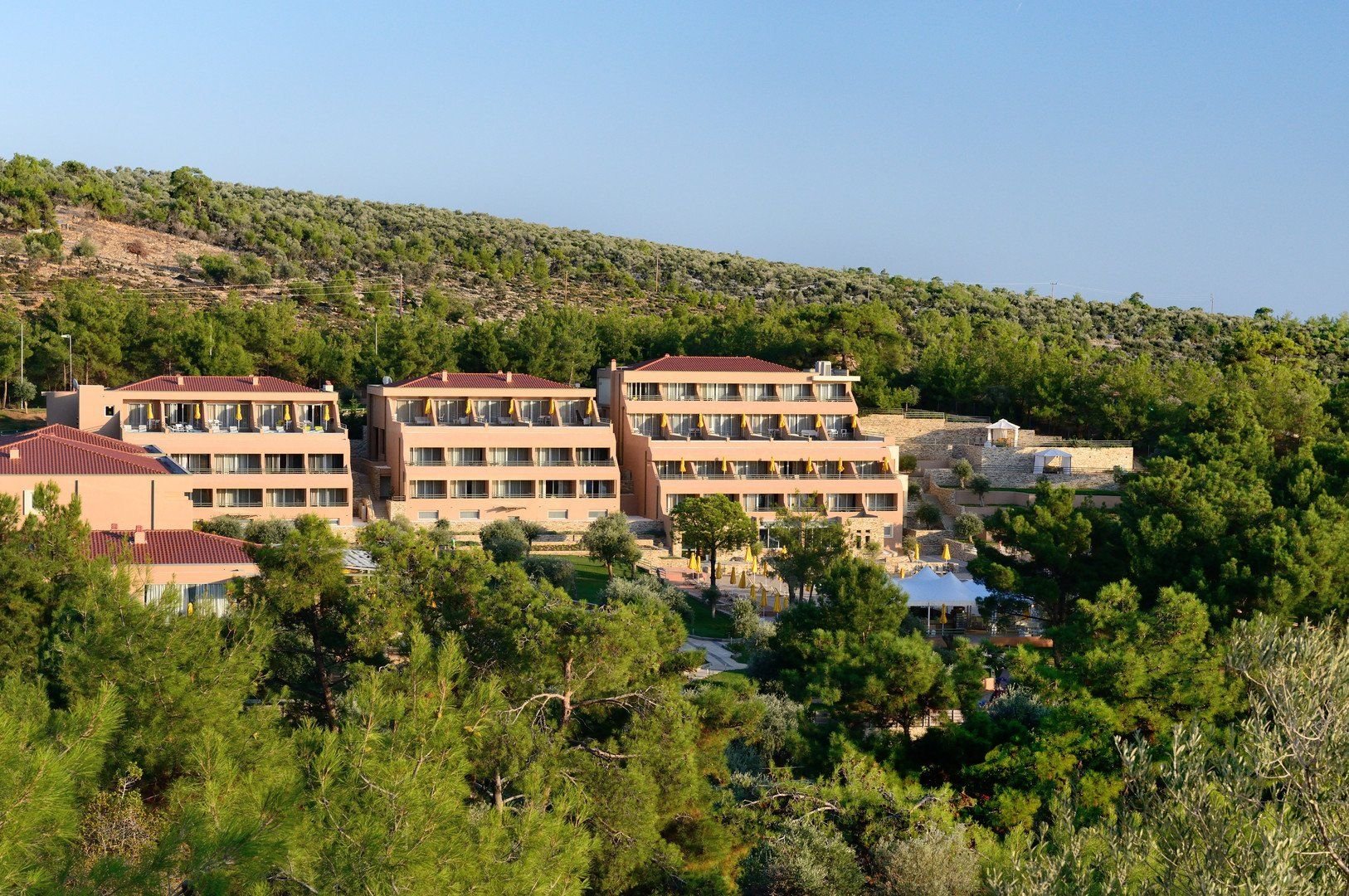 Royal Paradise Beach Resort & Spa 1