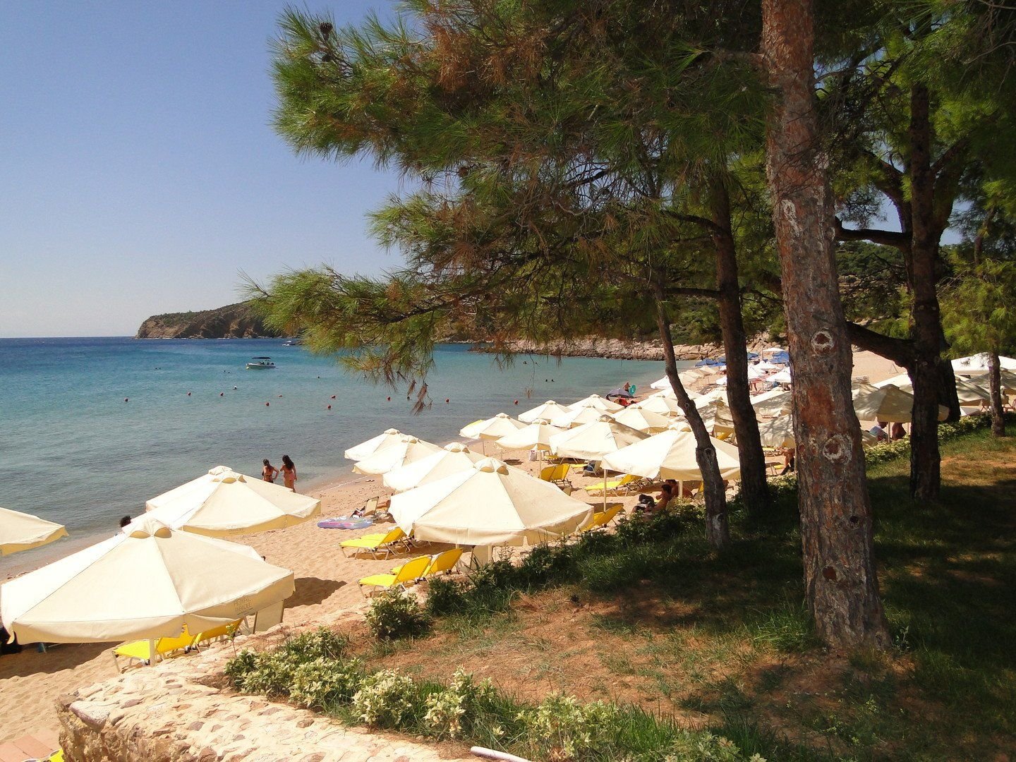 Royal Paradise Beach Resort & Spa 16