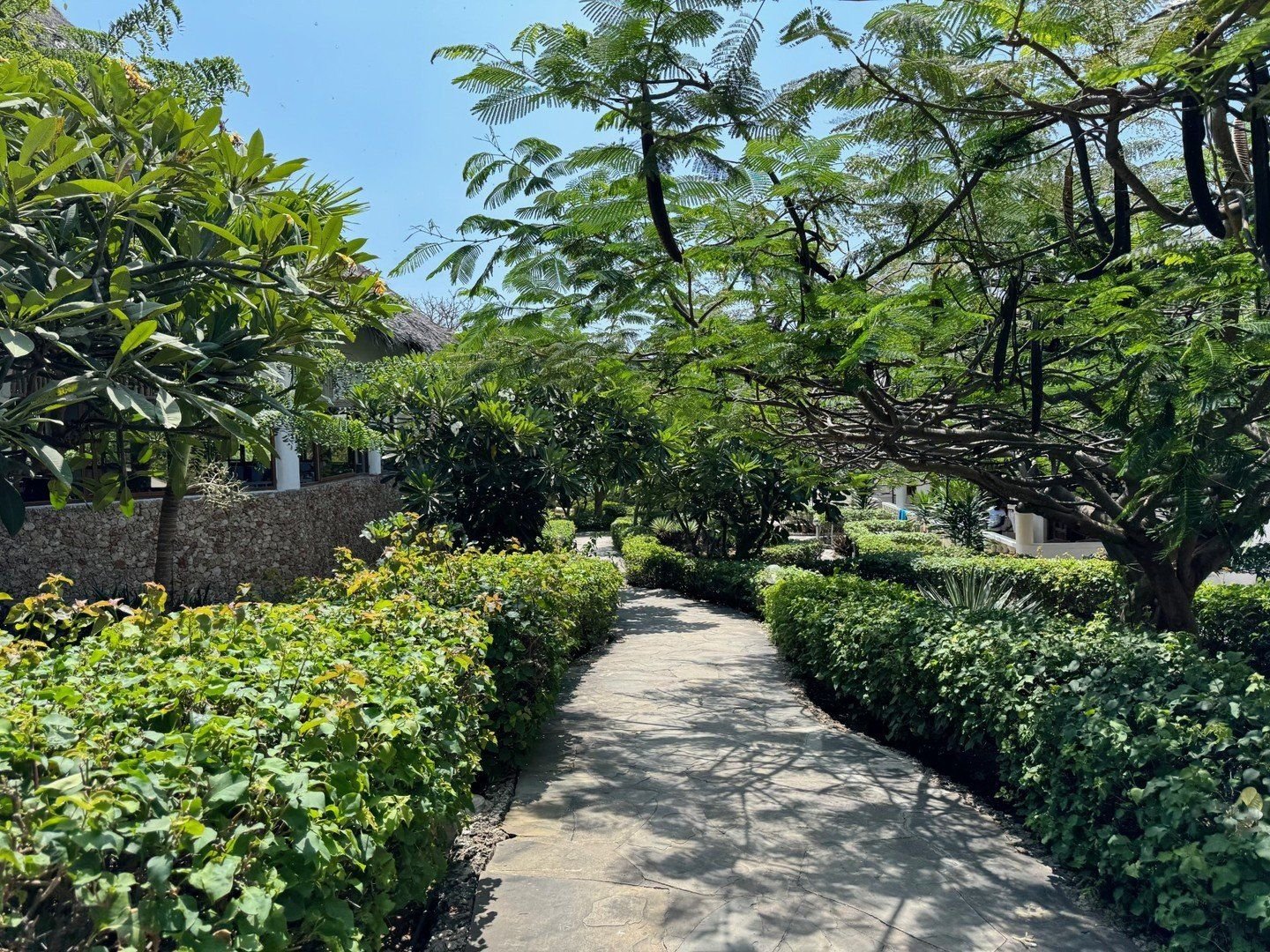 Jumbo Resort Watamu 11