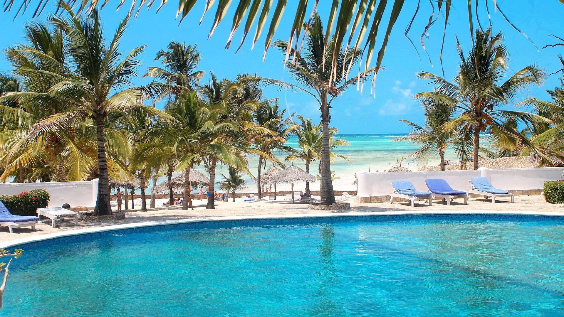 Jumbo Resort Watamu 2