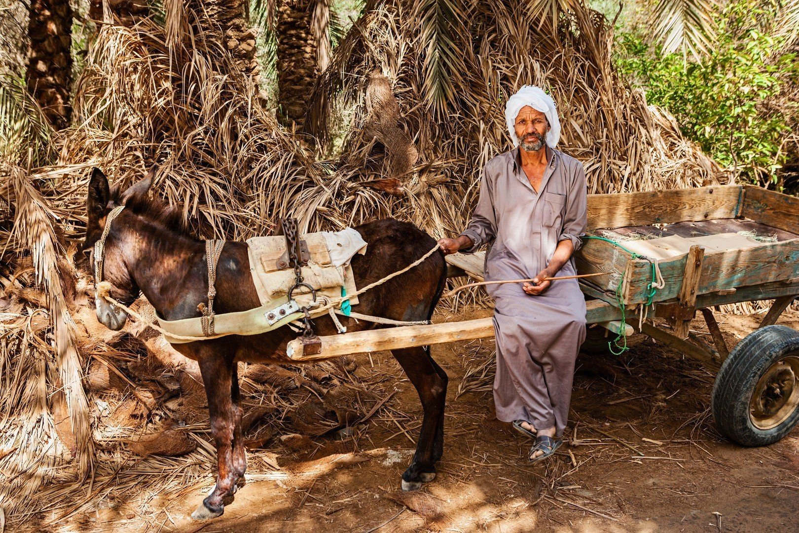 Oáza Síwa s pobytem u moře s odletem z Prahy 13