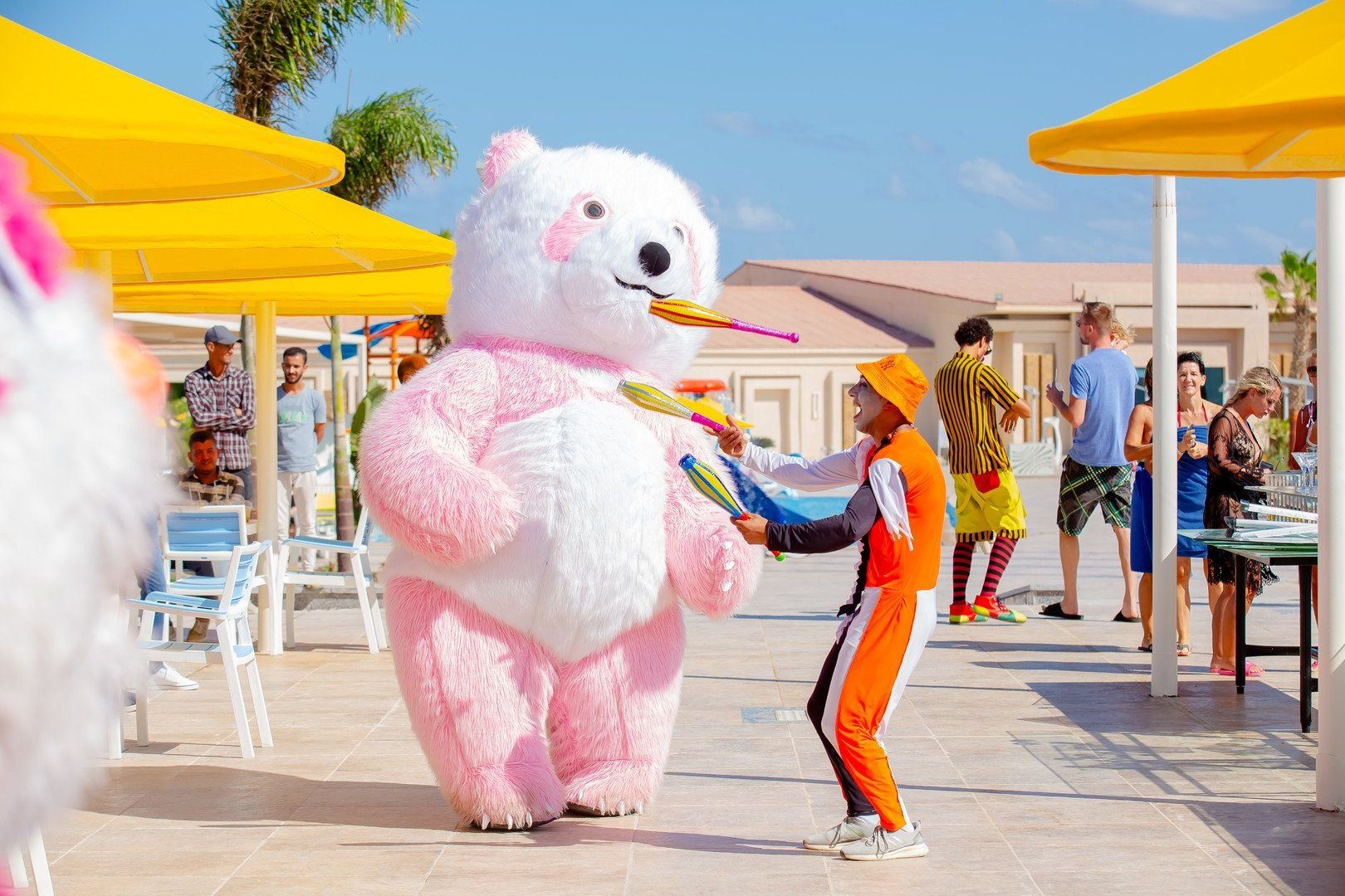 Pickalbatros Sea World Marsa Alam 53