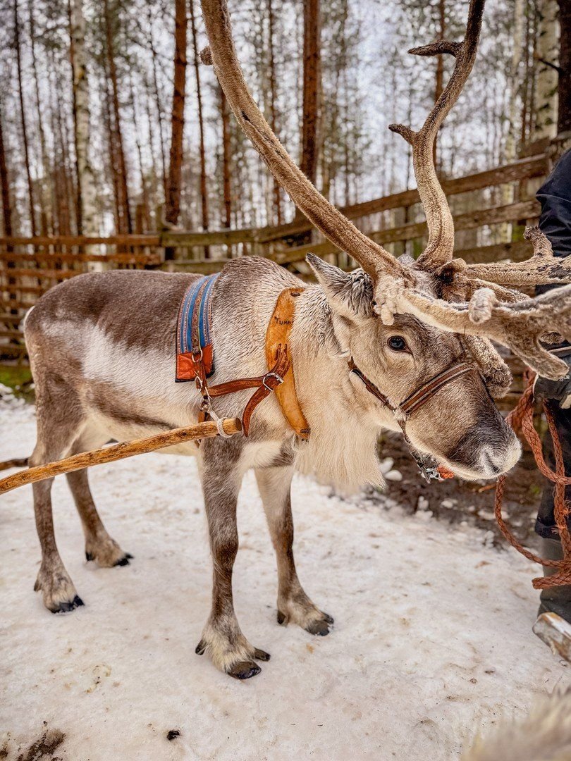 Advent v Santově vesničce 13