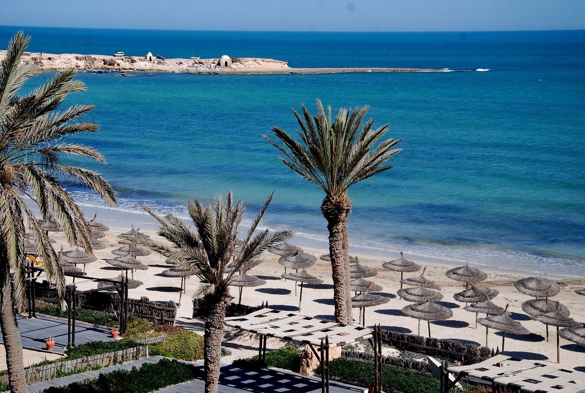 Vincci Safira Palms 3