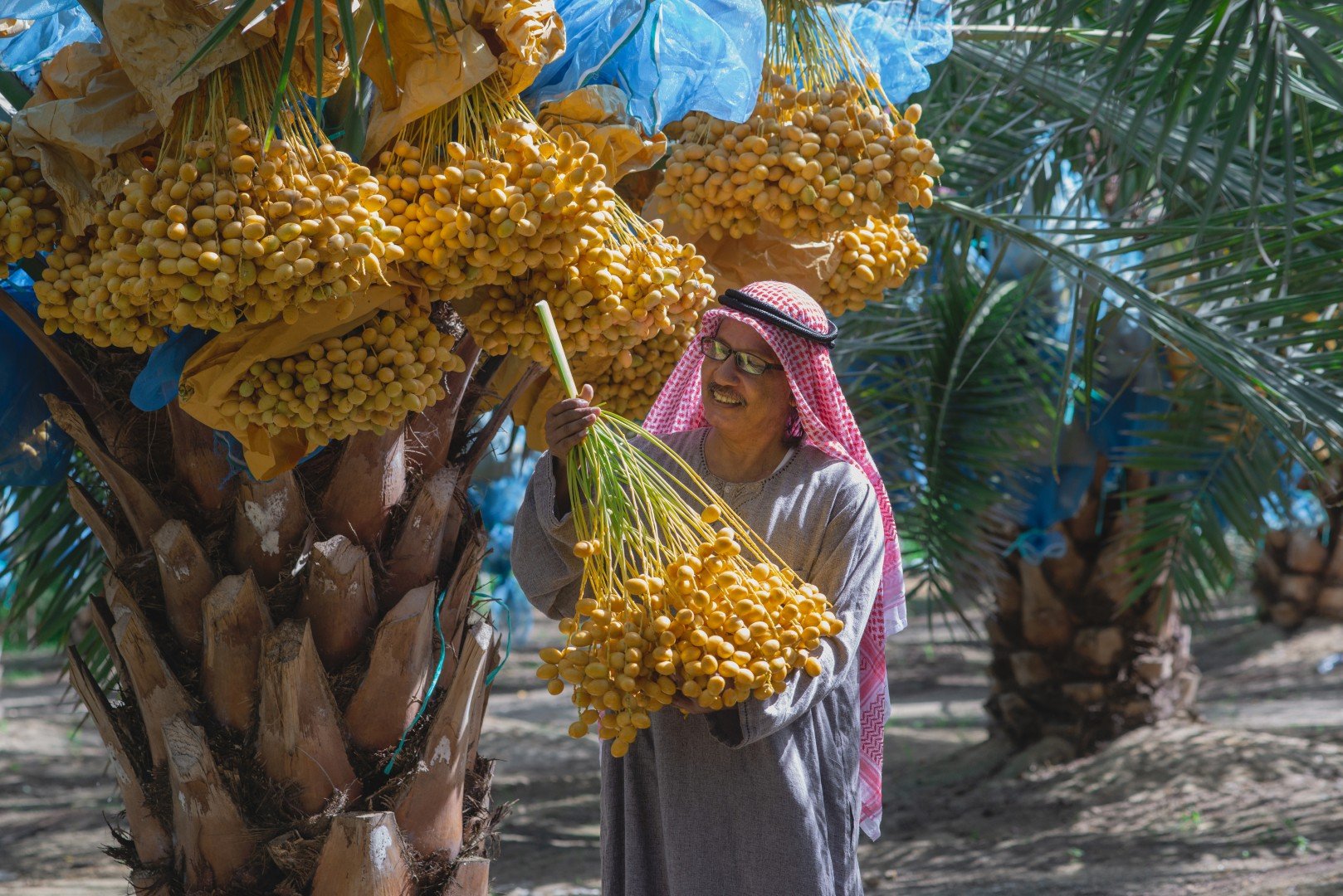 Oáza Síwa s pobytem u moře s odletem z Prahy 8