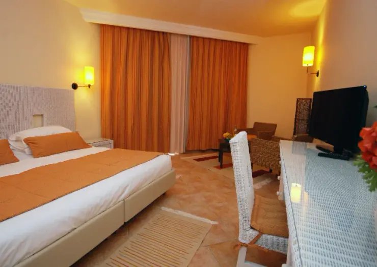 Vincci Safira Palms 4