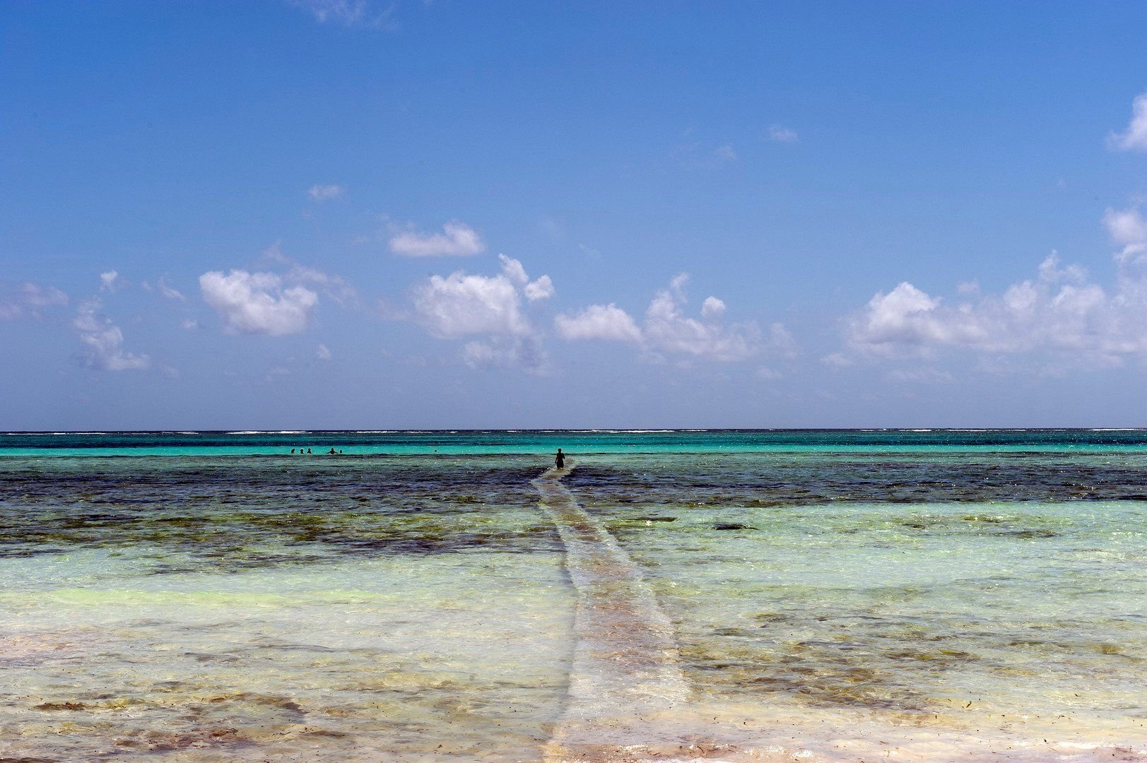 Karafuu Beach Resort & Spa 27