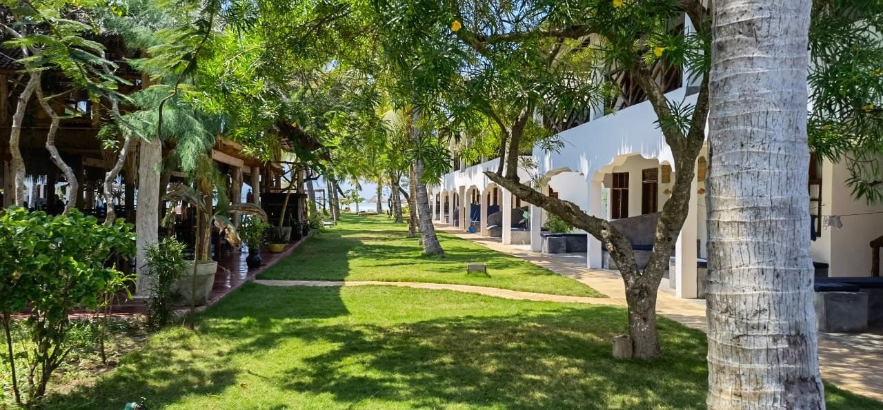 Nest Style Beach Zanzibar 18
