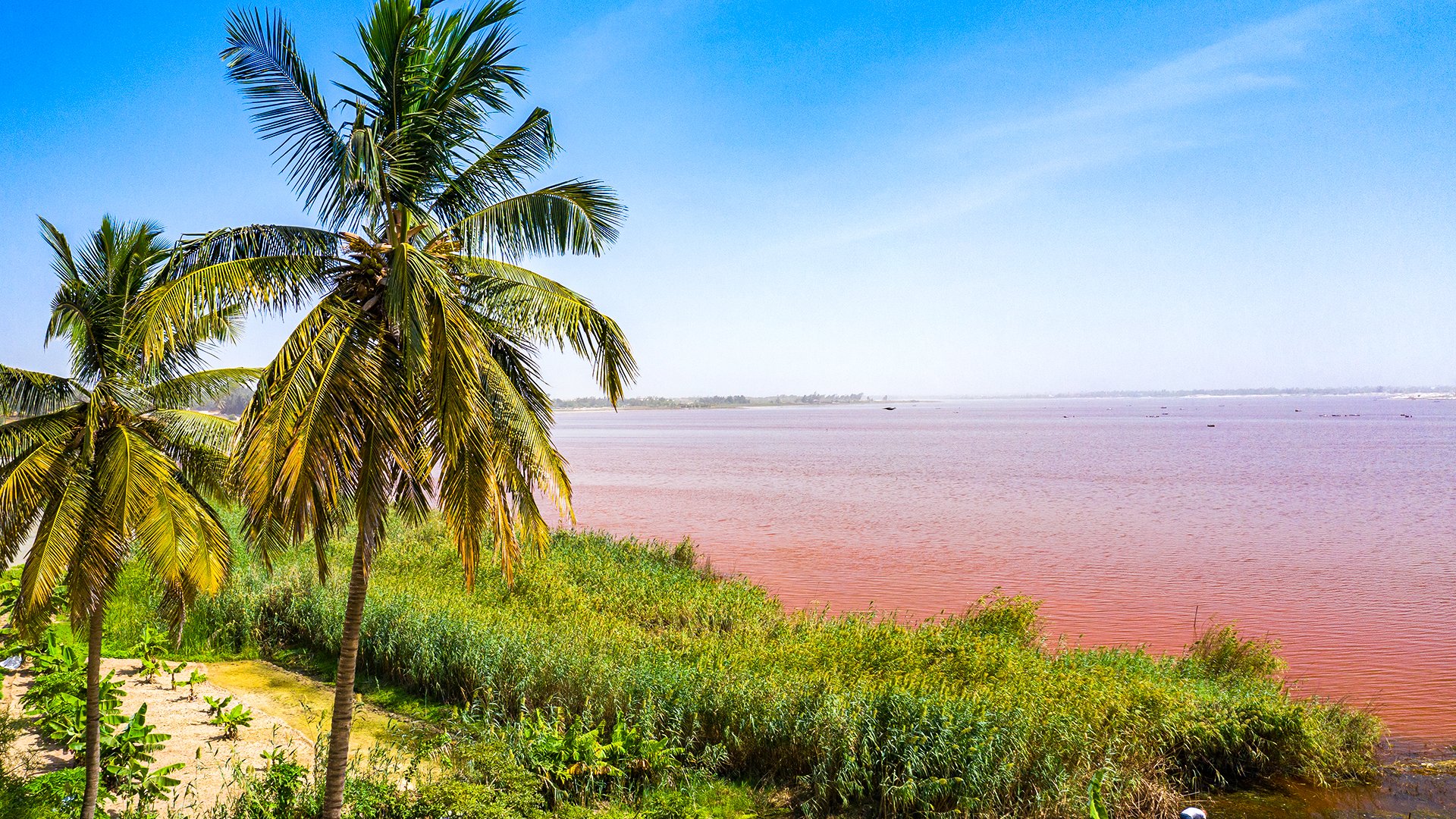 Barwy Senegalu – od oceanu po sawannę