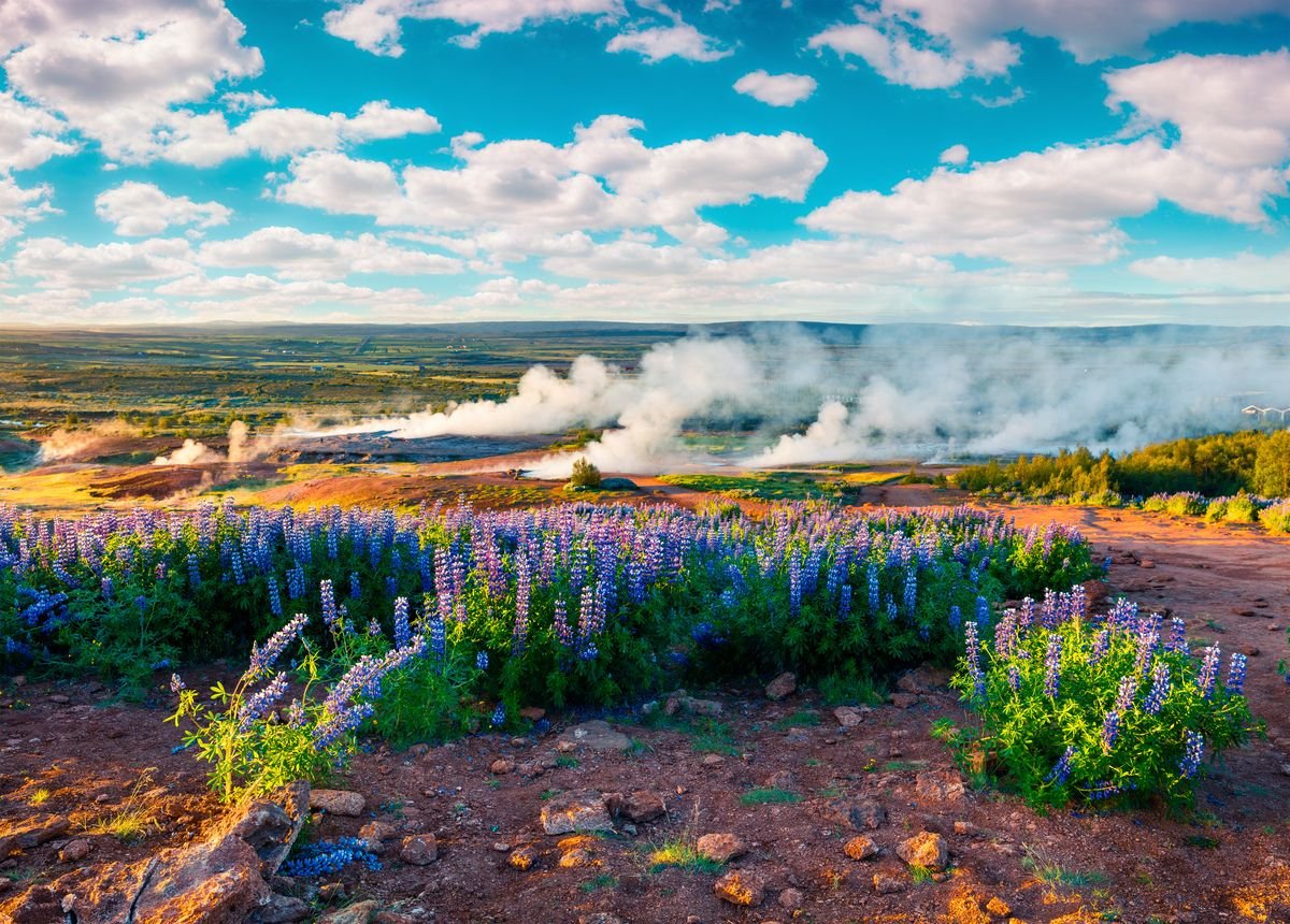 Haukadalur region in Iceland