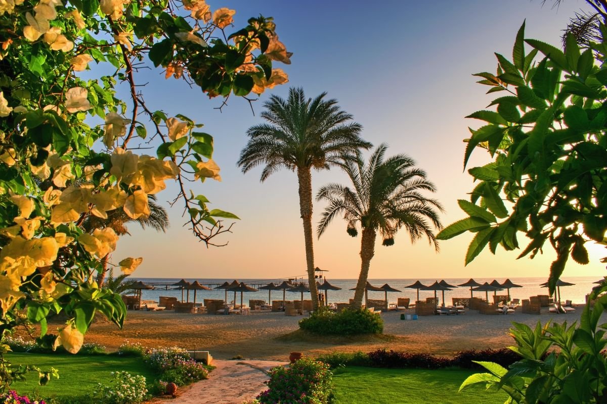 The Marsa Alam coast
