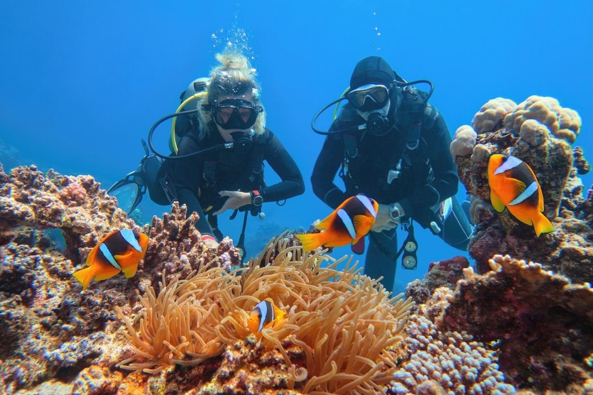 Diving in Marsa Alam