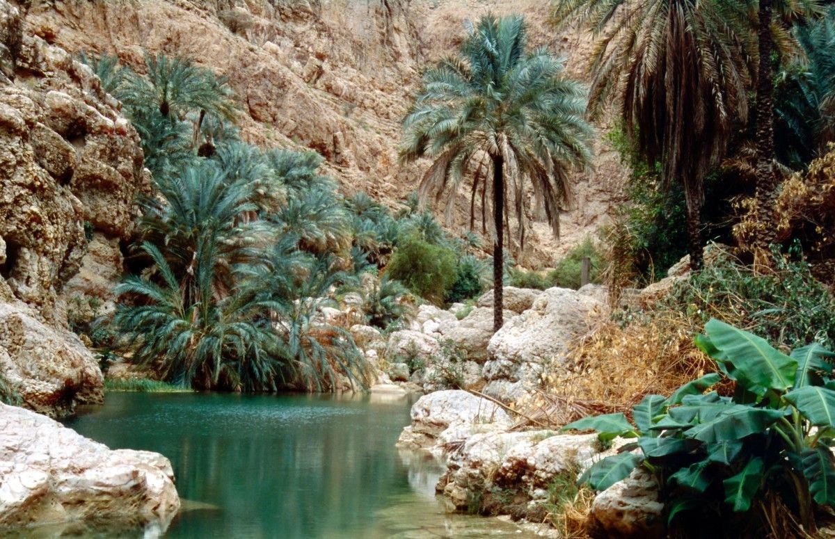 Oman Wadi