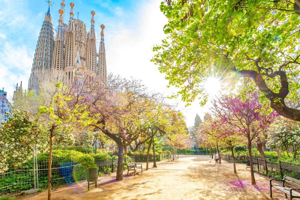 Park w Barcelonie skąd widać Sagrada Familia