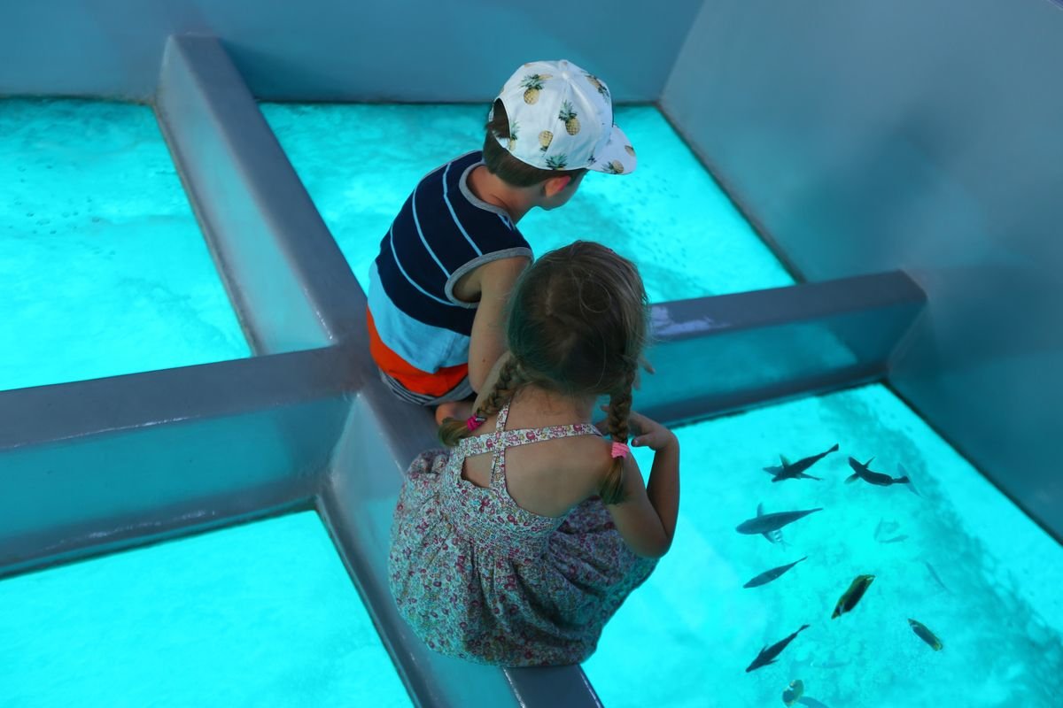 A glass-bottom boat trip is a great attraction for children.
