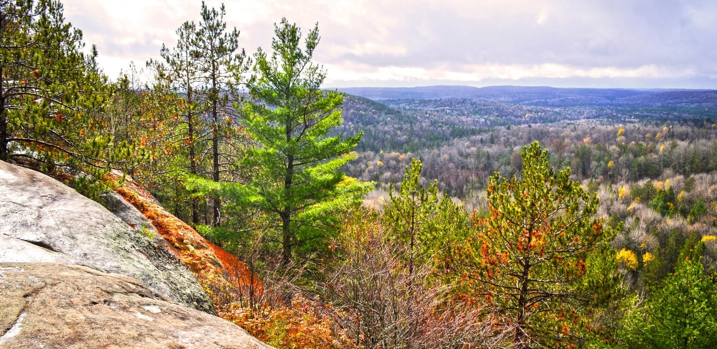Algonquin Park