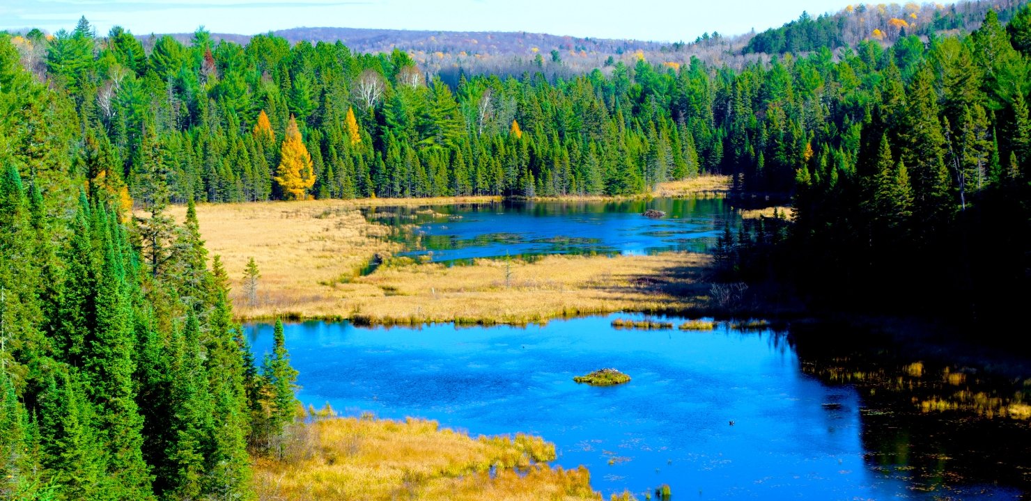 Algonquin Park