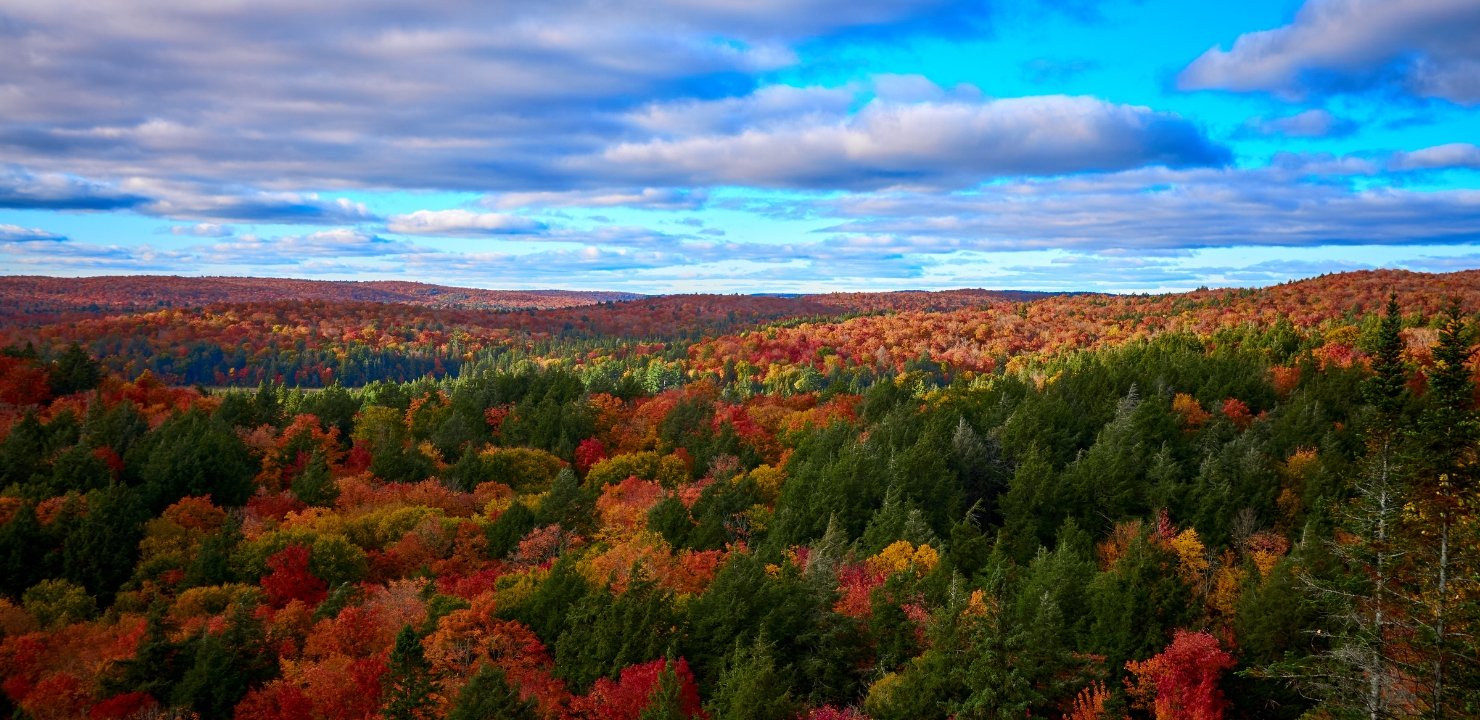 Algonquin Provincial Park