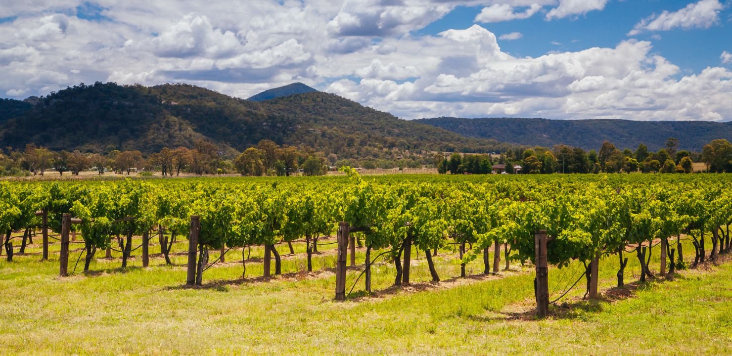 Australia i Nowa Zelandia