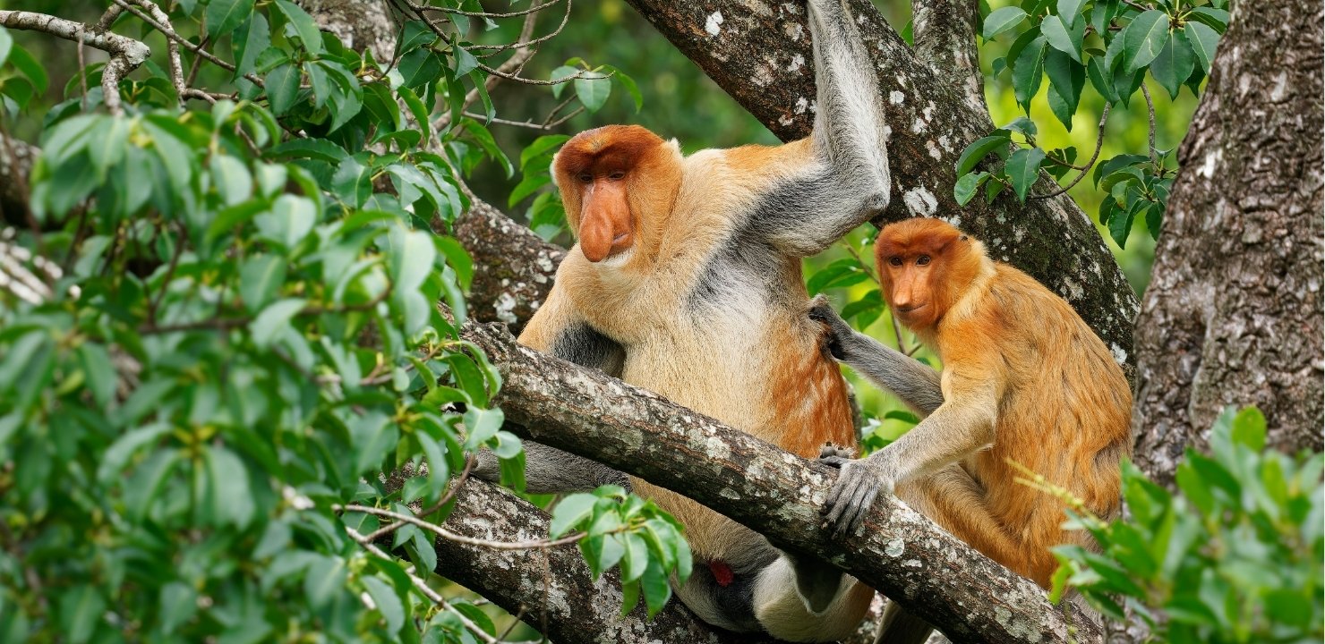 Wielki Rejs po Azji dla Koneserów