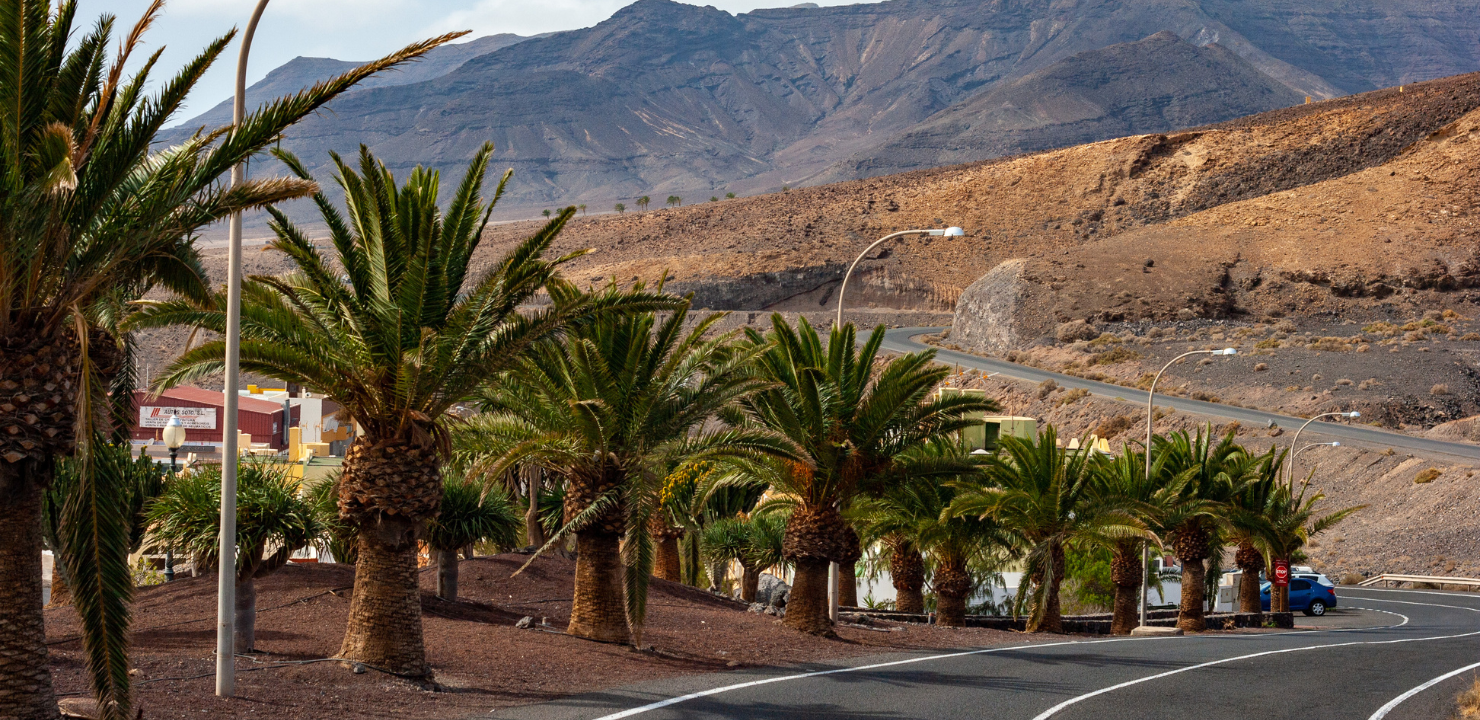 Wyspy Kanaryjskie - Fuerteventura, palmy i krajobraz