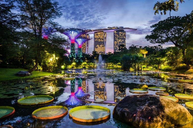 Gardens by the bay by night