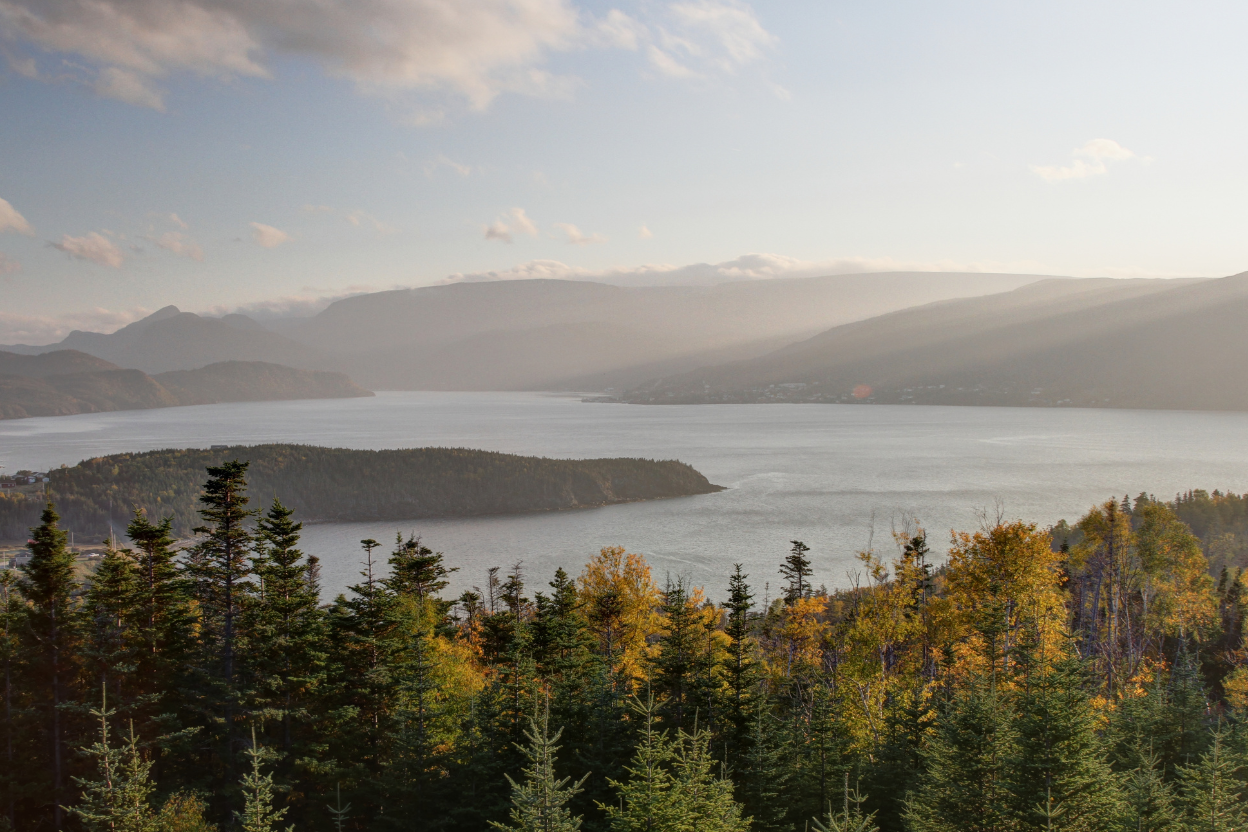 Gros Morne