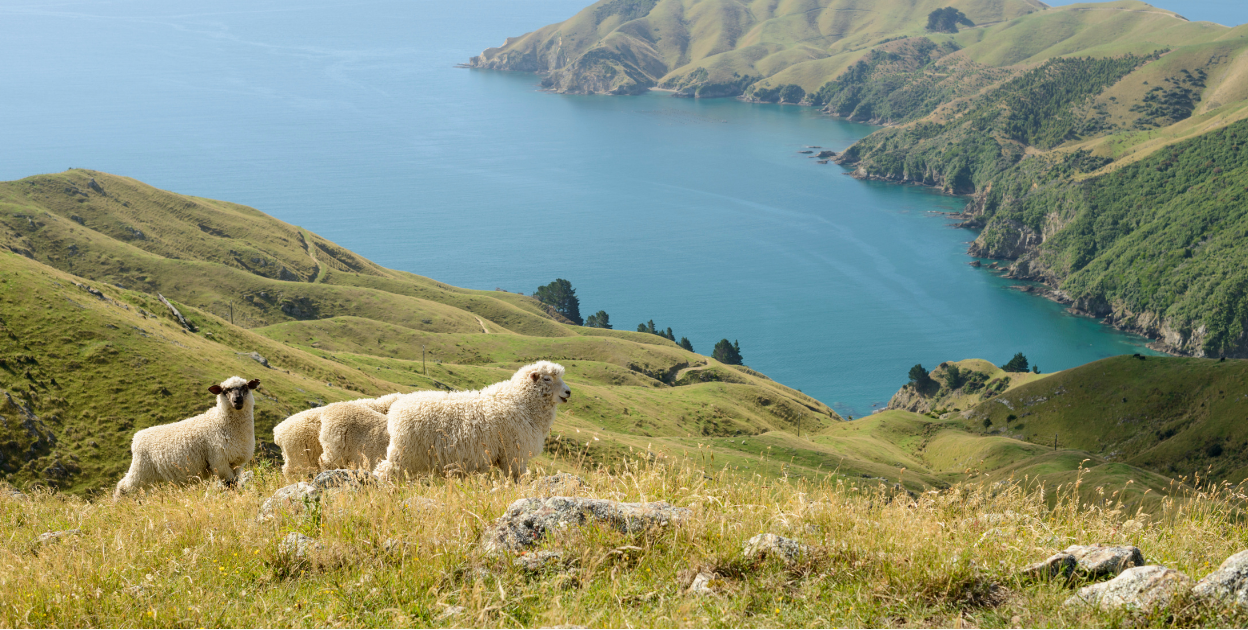 Marlborough
