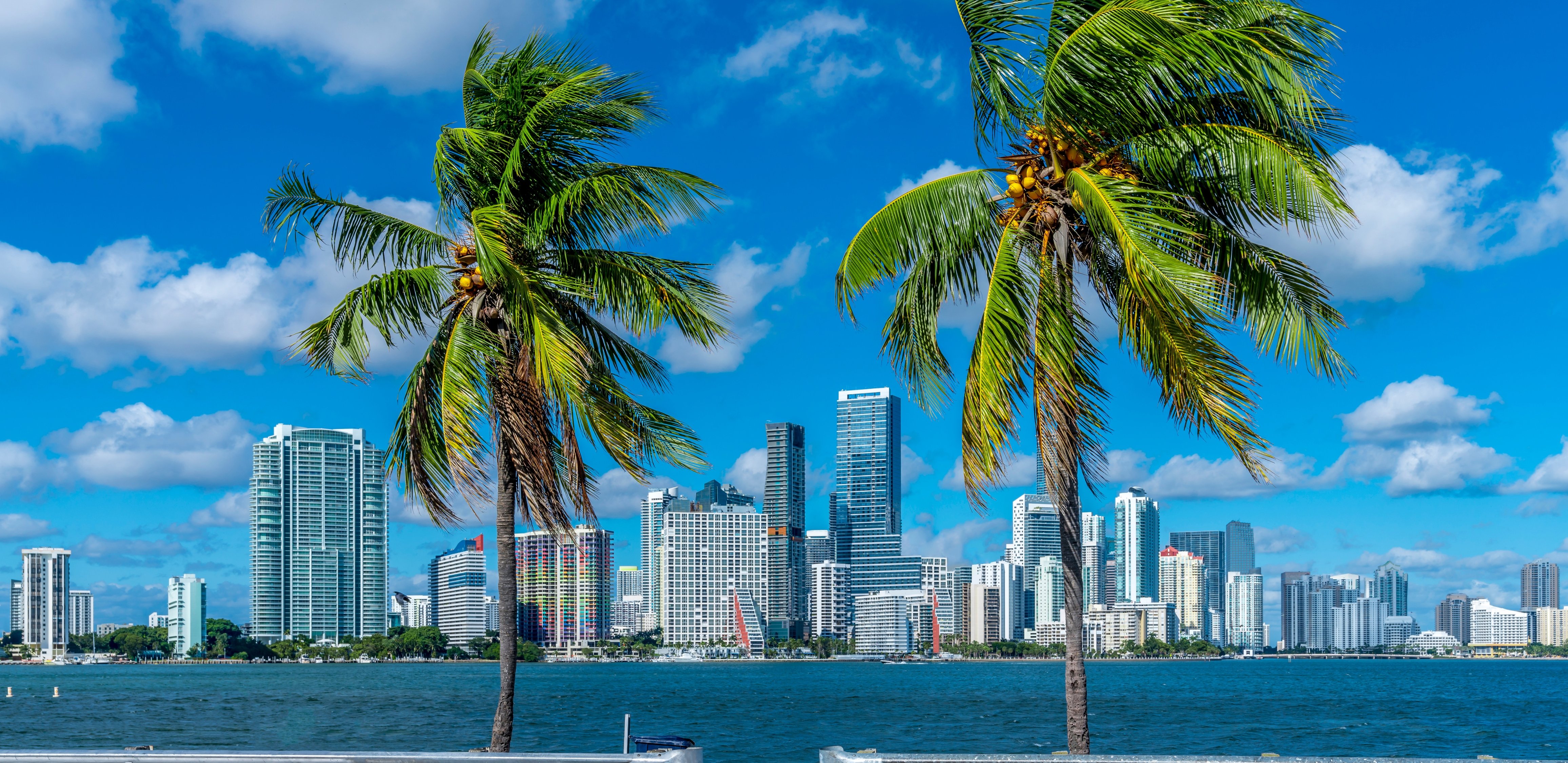 Ferie pod palmami – rejs po Karaibach z Miami