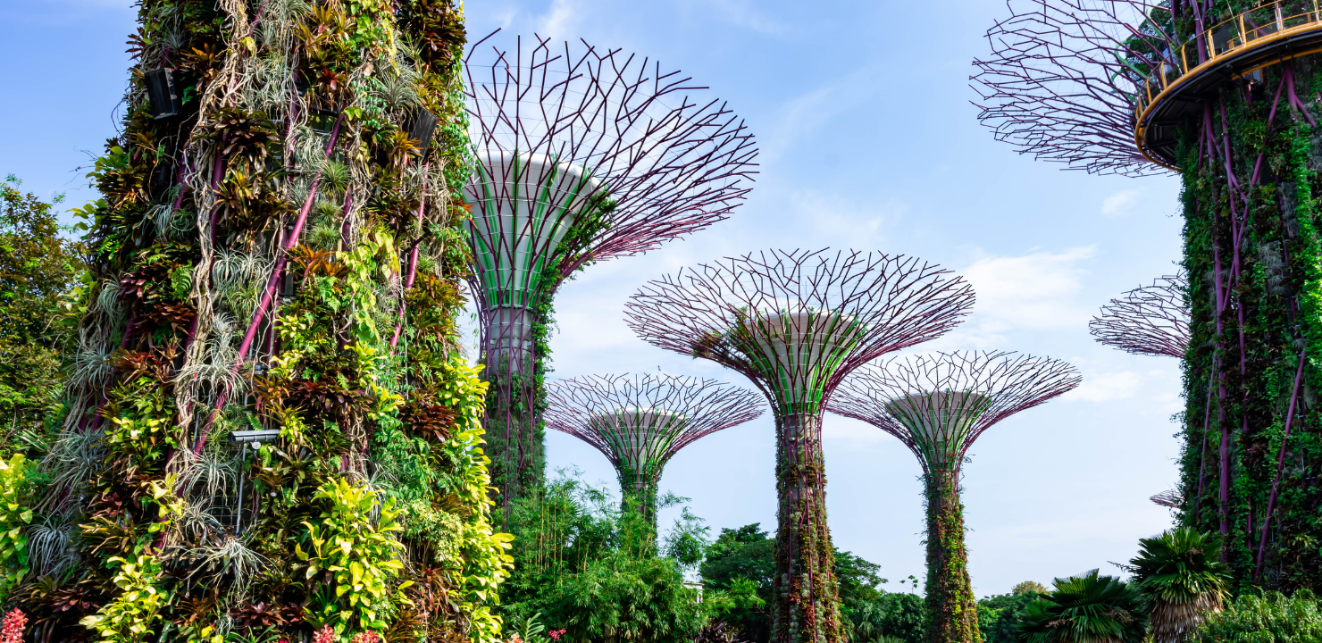 Gardens by the Bay