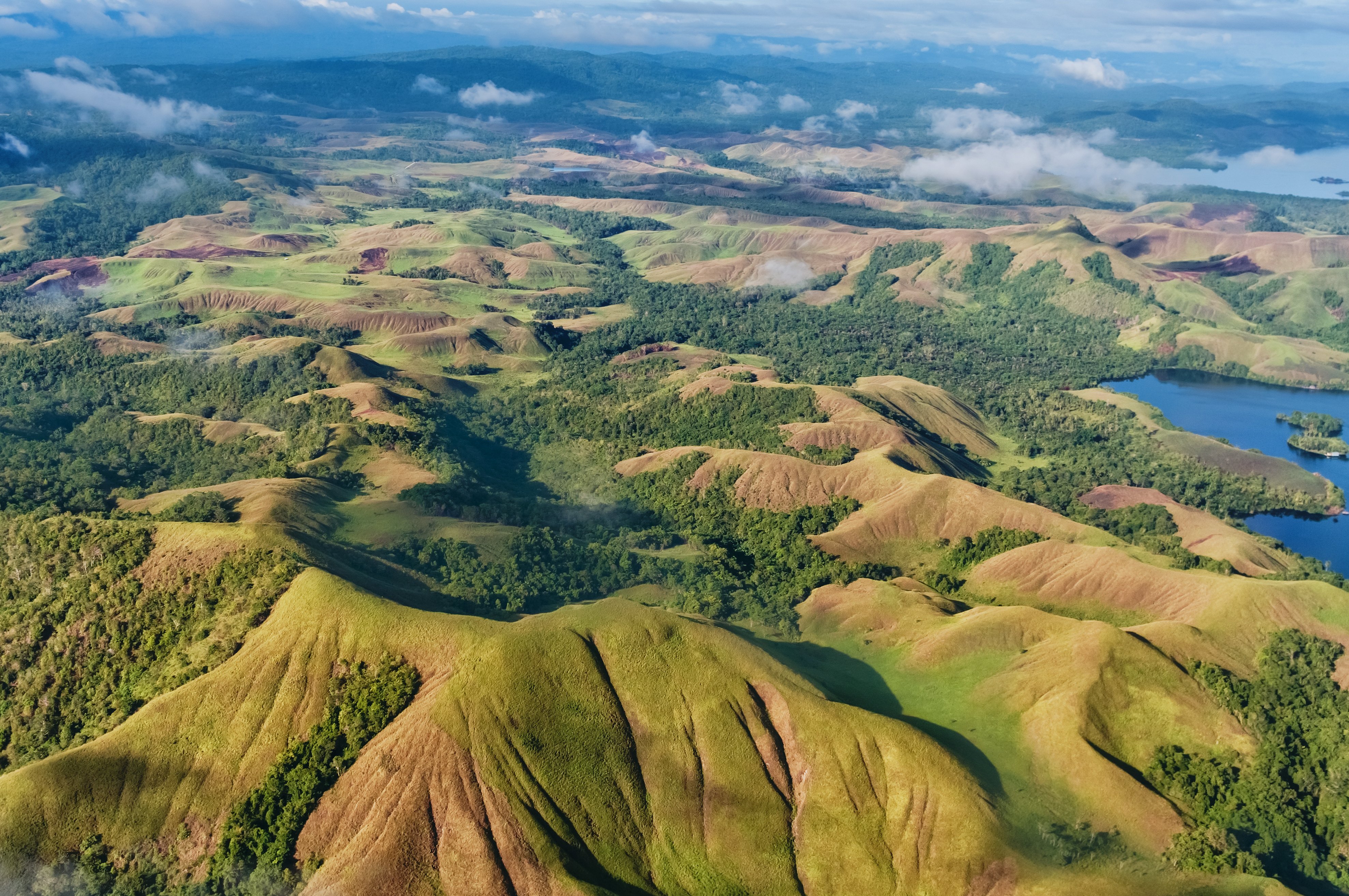 Papua-Nowa Gwinea