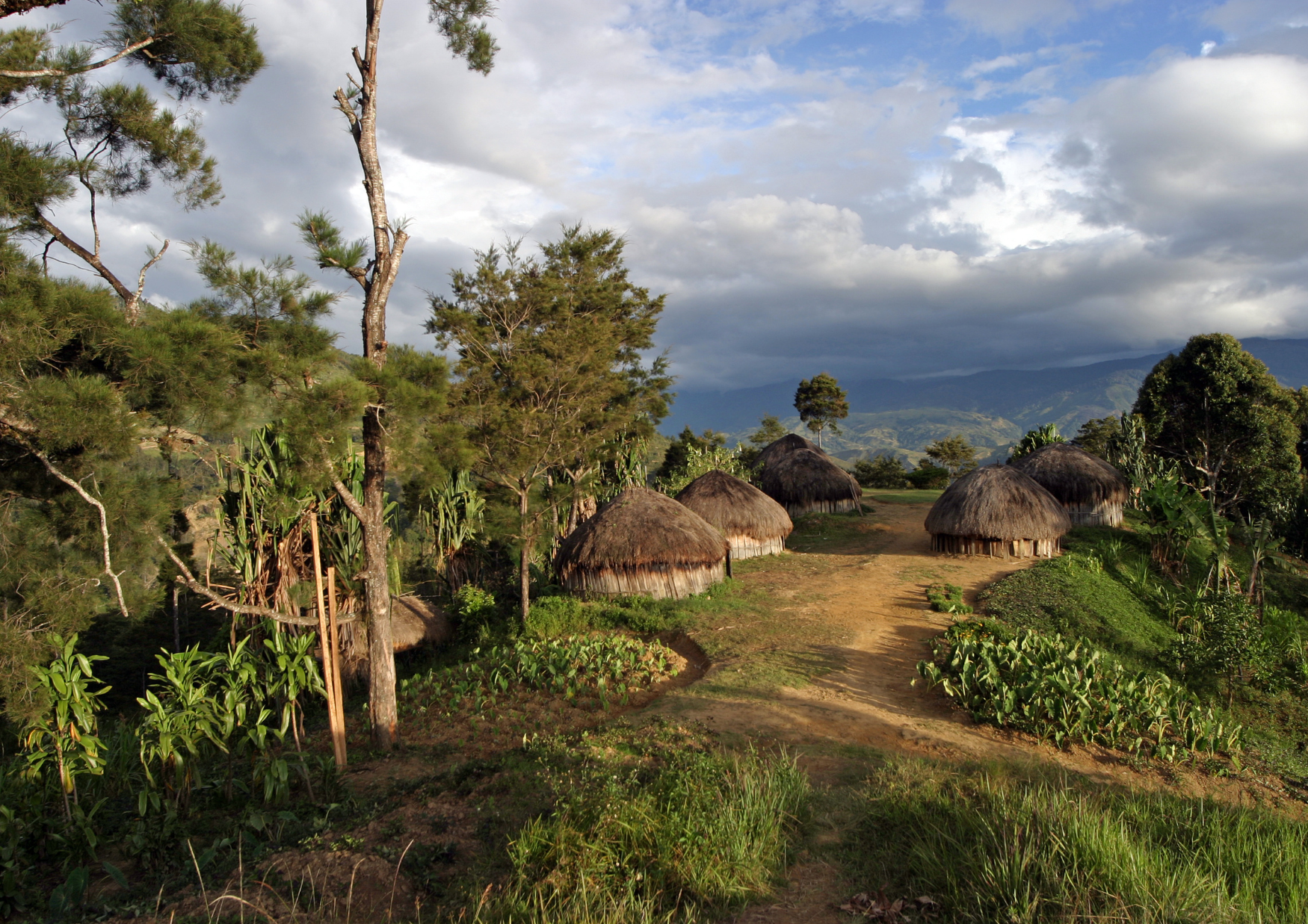 Papua-Nowa Gwinea