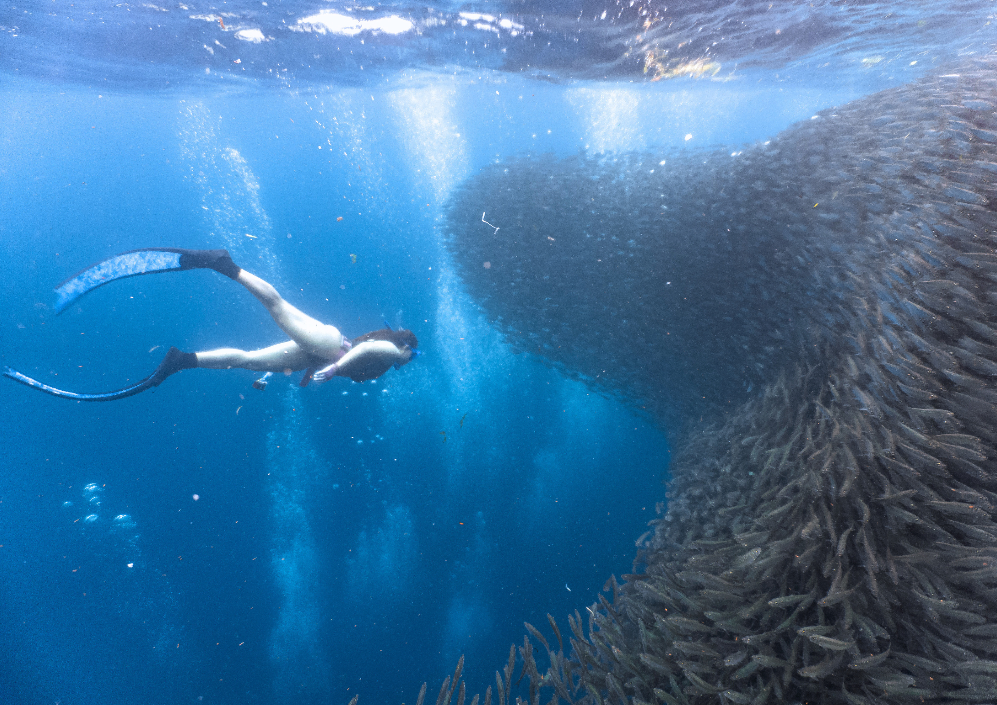 Snorkeling filipiny