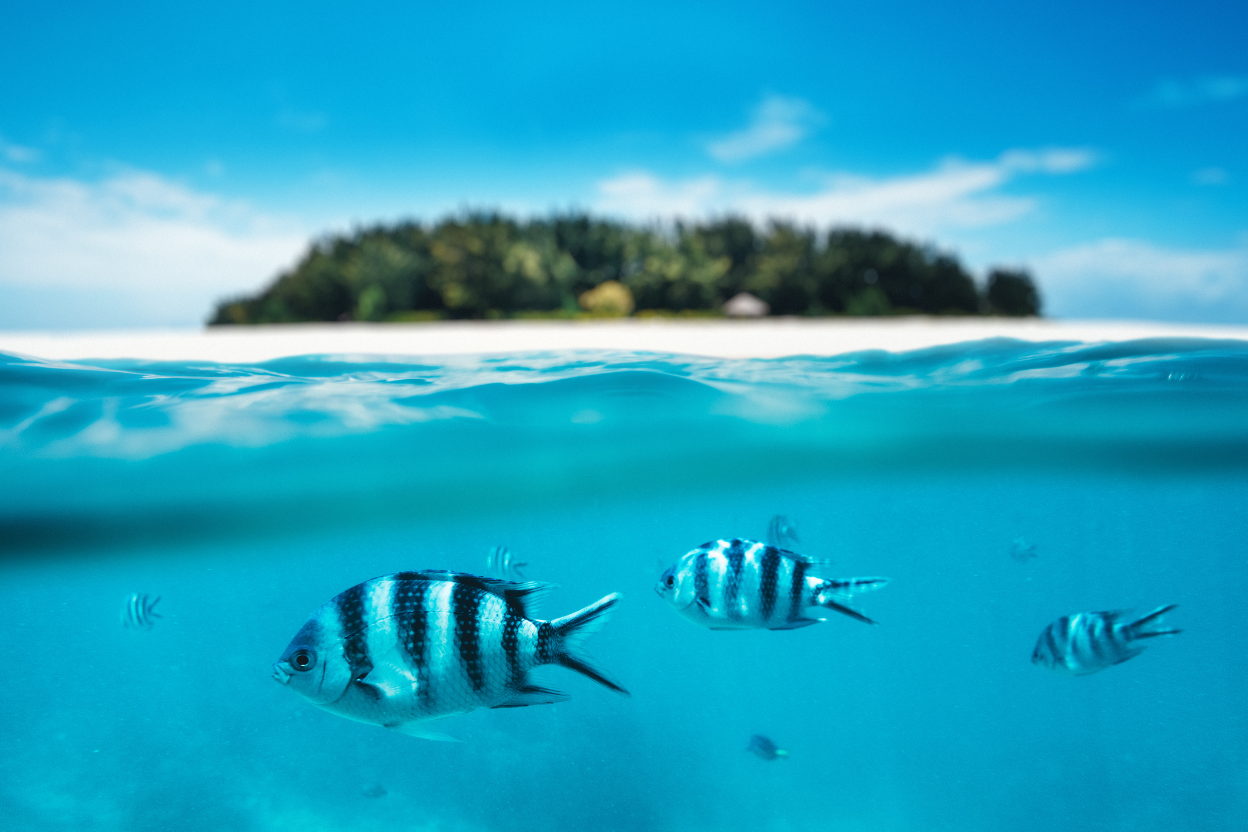 Zanzibar island