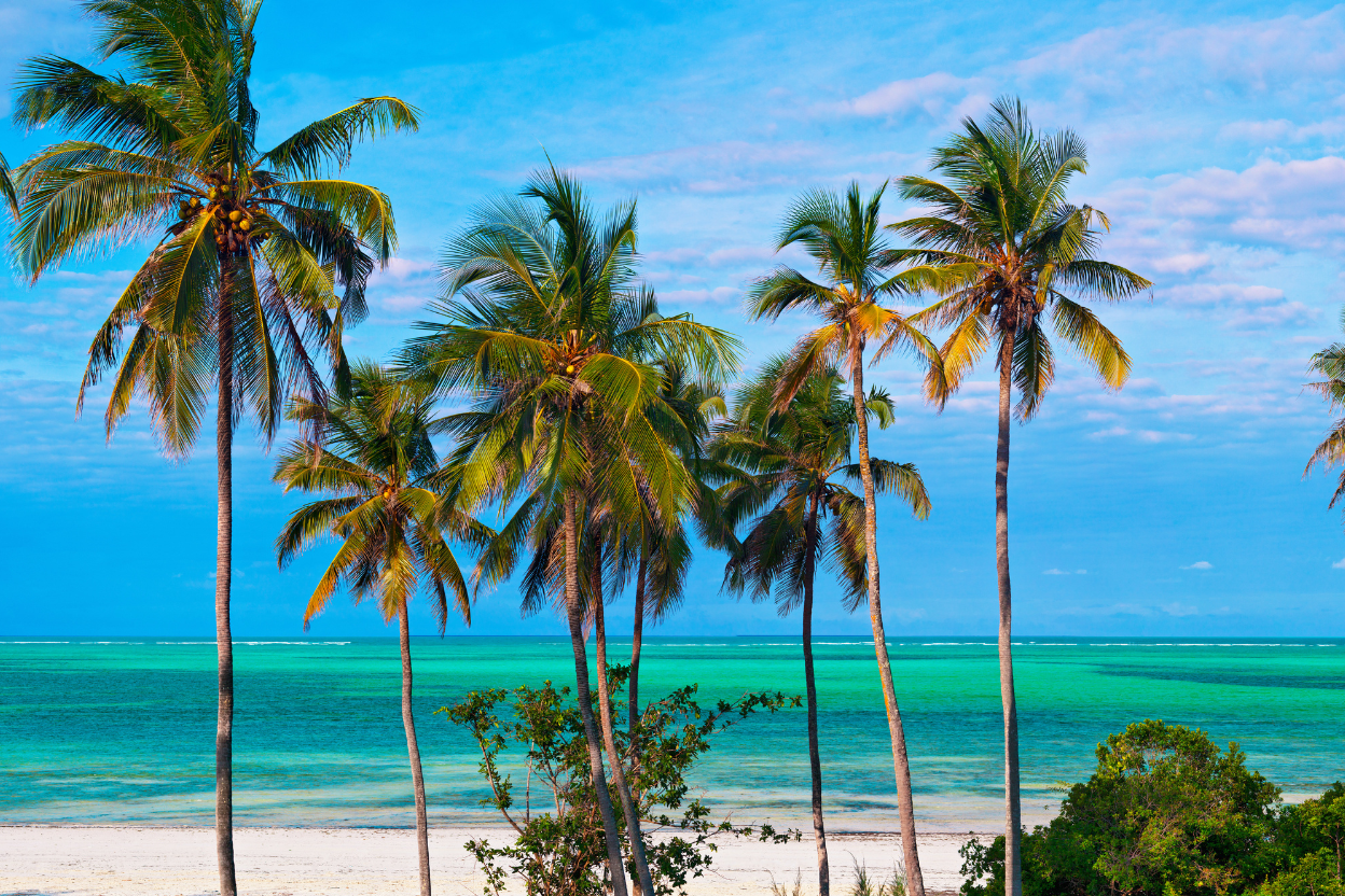 Zanzibar