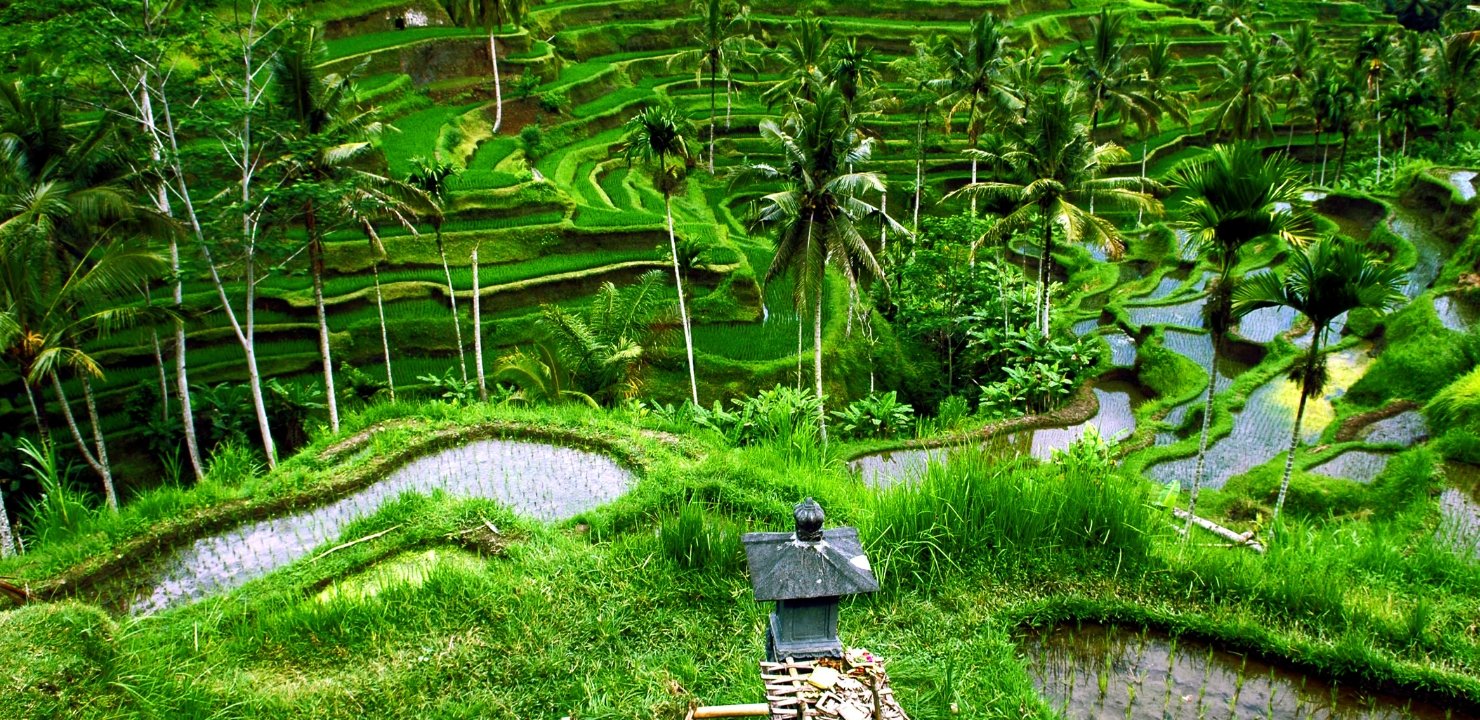 bali-indonezyjska-perla