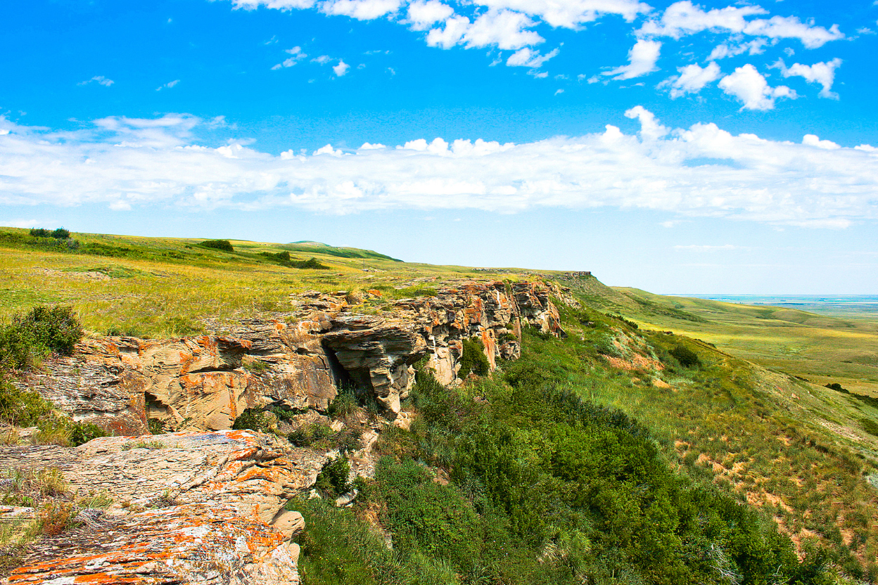 Buffalo Kanada