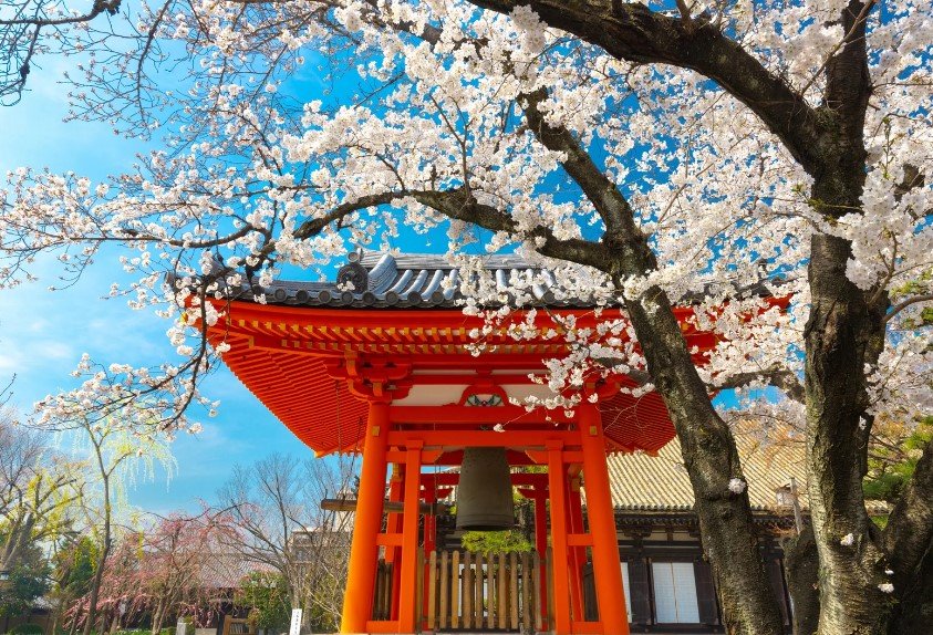 japonia-przewodnik-dla-podrozujacych