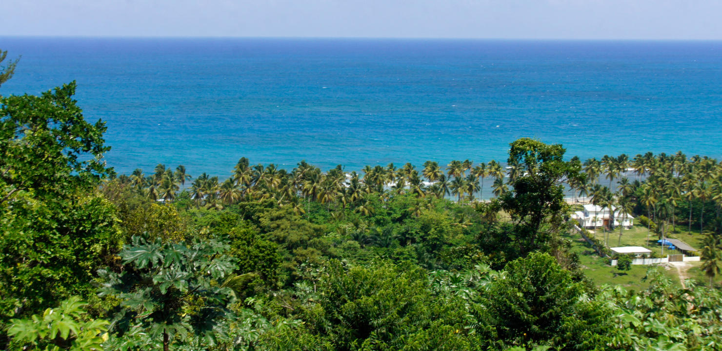 Park Narodowy Los Haitises