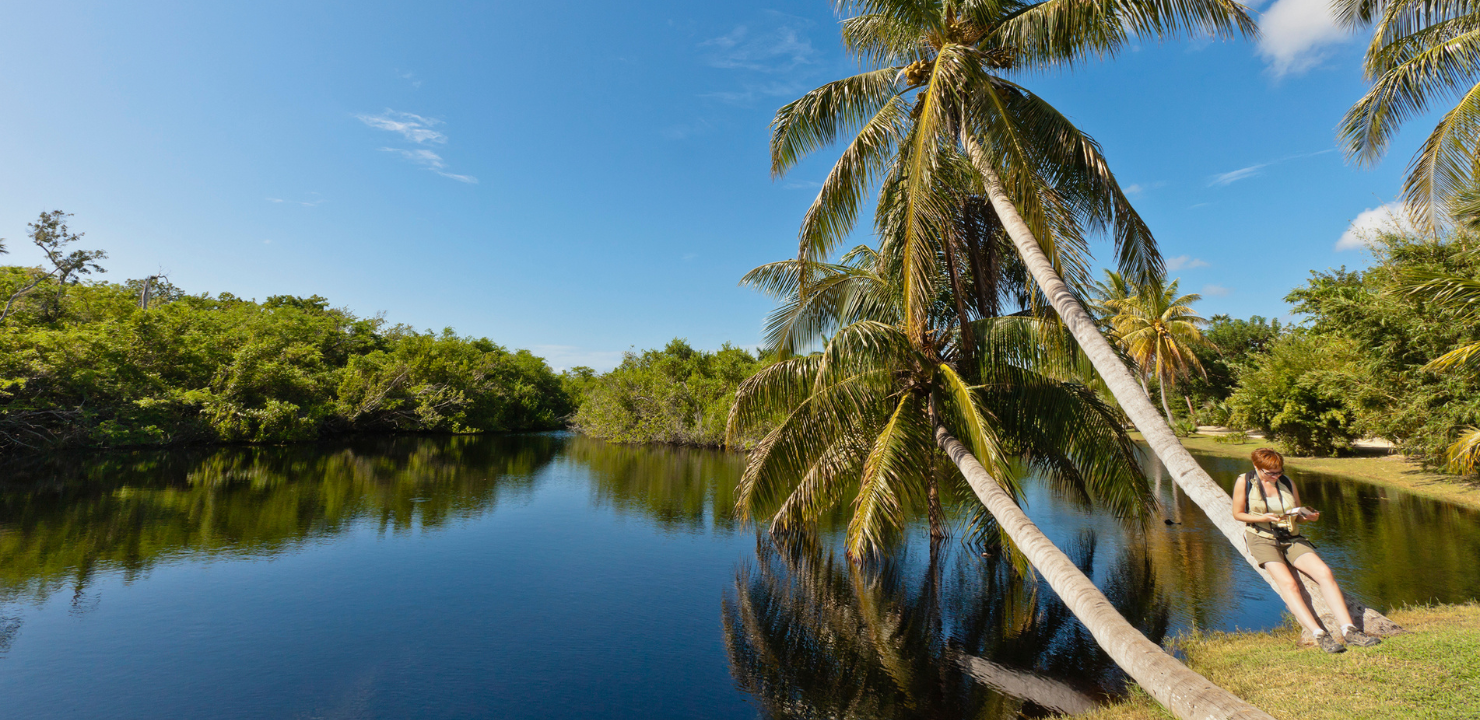 Królewski Park Botaniczny Królowej Elżbiety II