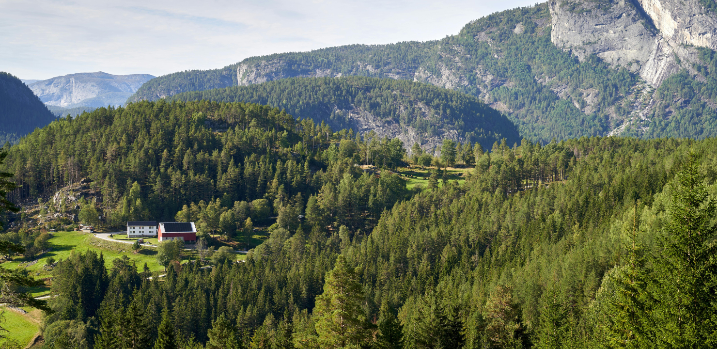 Co warto zobaczyć podczas rejsu po Morzu Północnym i fiordach norweskich?