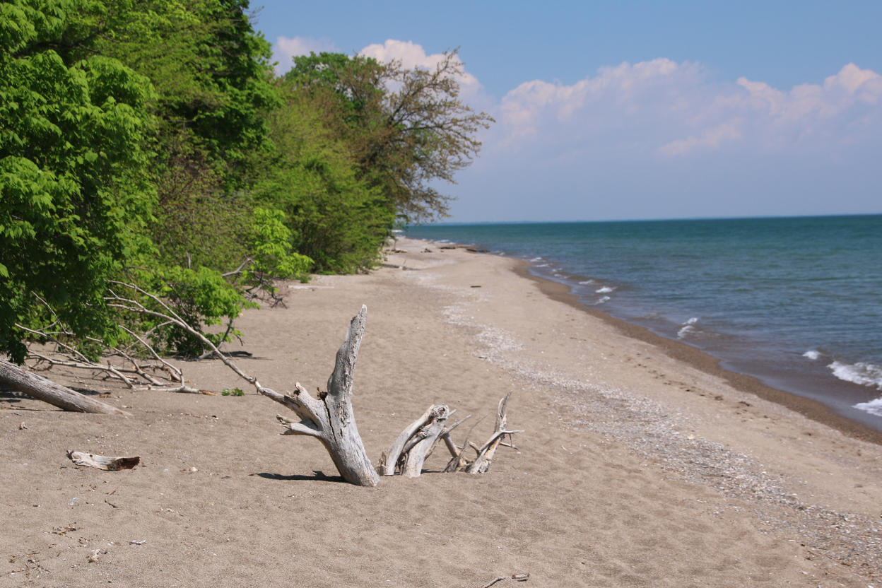 Point Pelee