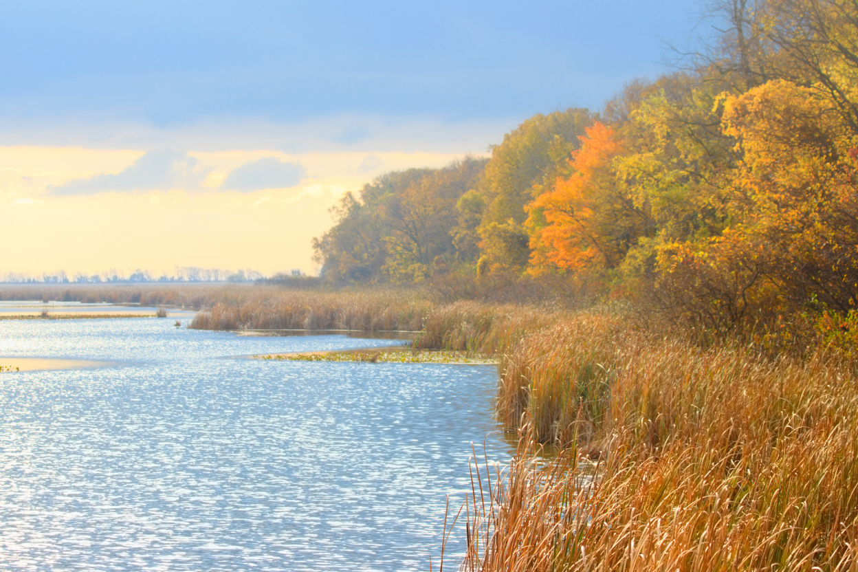 Point Pelee